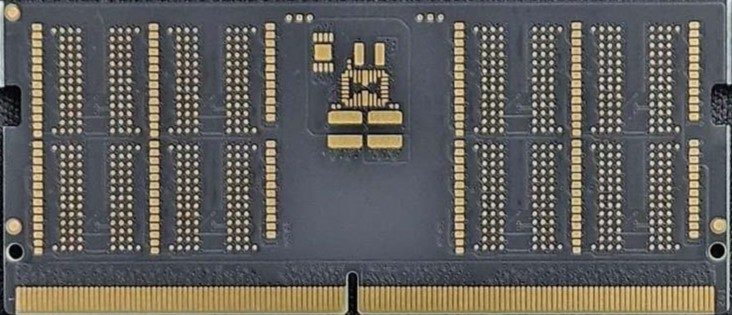 cropped-d5-front.jpeg